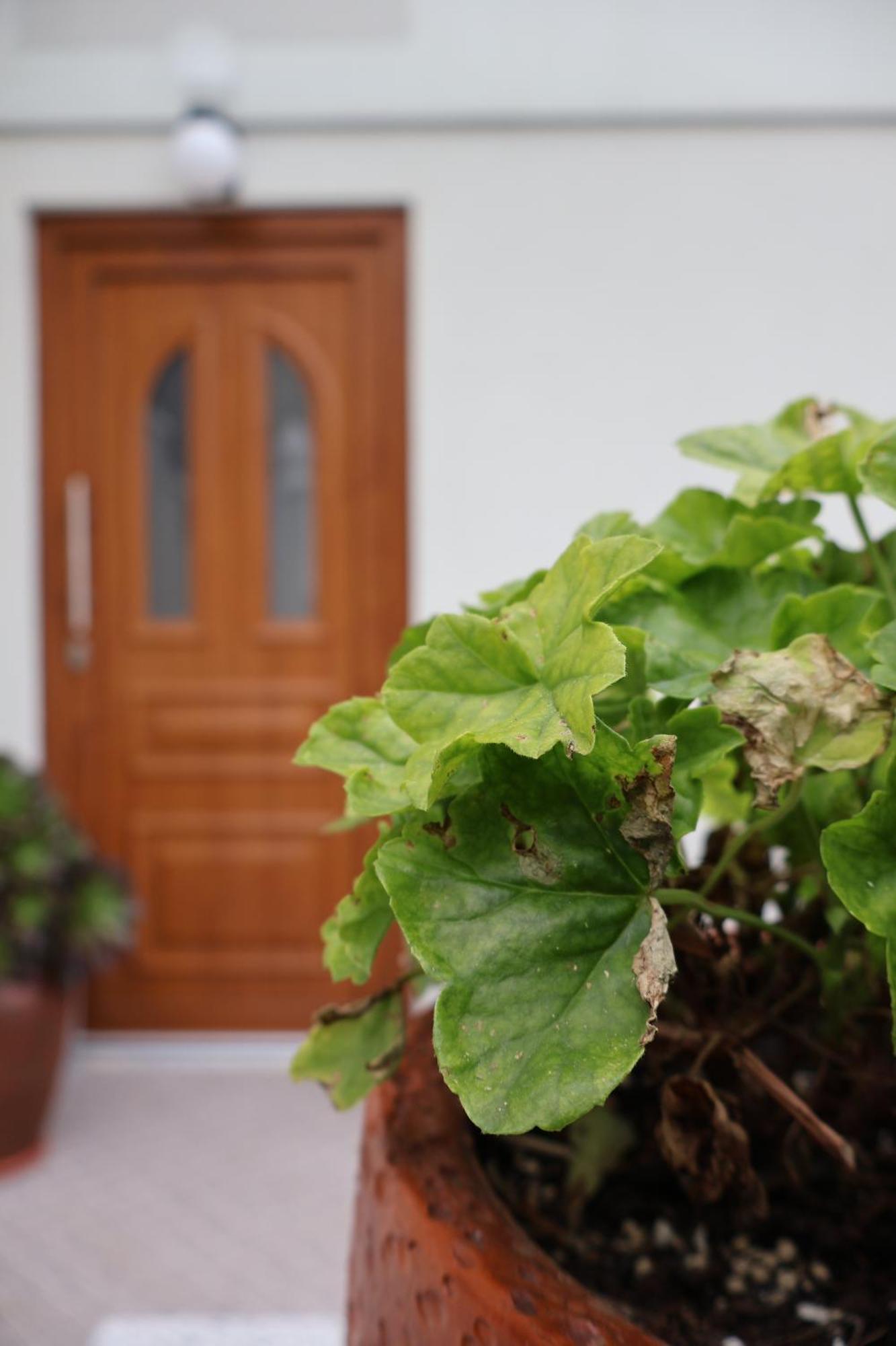Casa Das Chaes Canicada Bagian luar foto